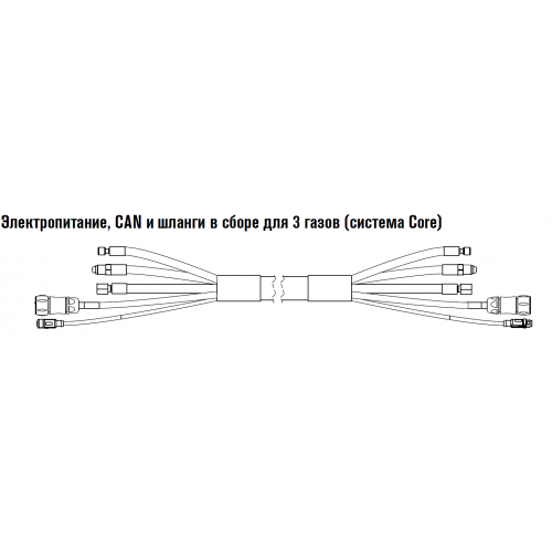 428465 Электропитание, CAN и шланги в сборе для 3 газов (система Core) 4,5 м.